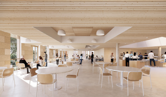 Extension de la Délégation Régionale de l'IRD - MONTPELLIER (34)3
