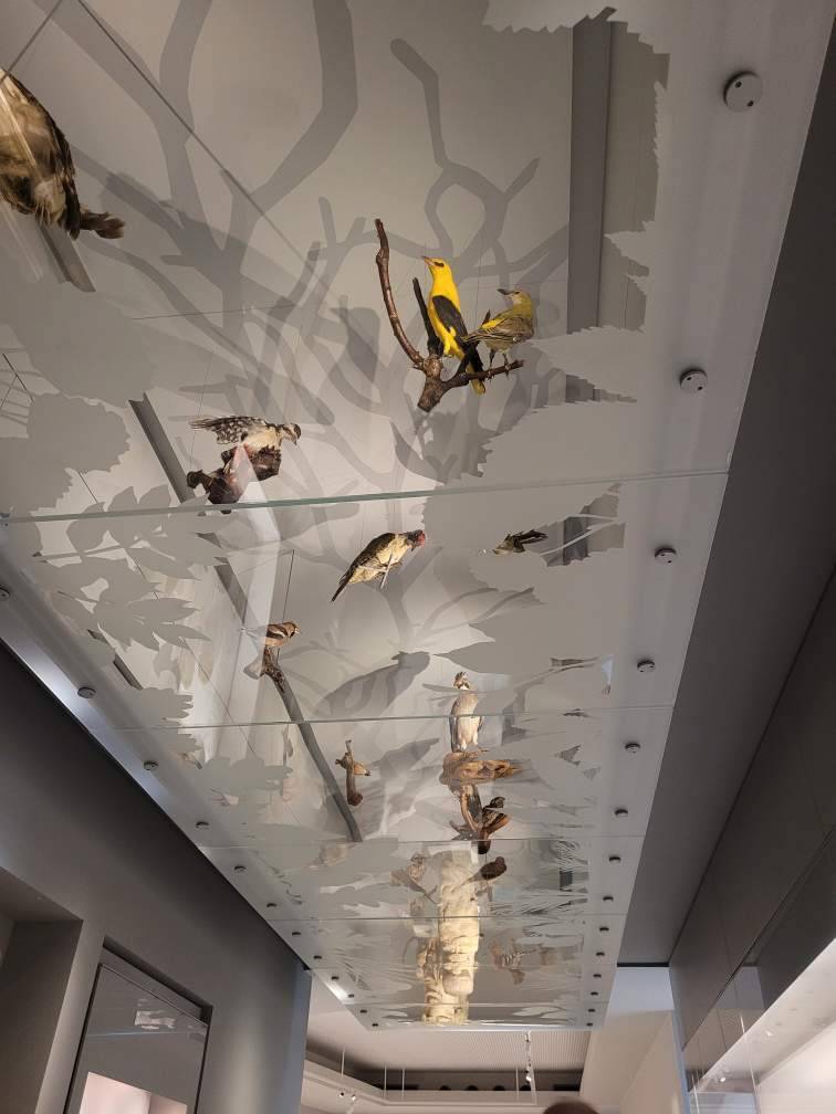 Art dans un musée