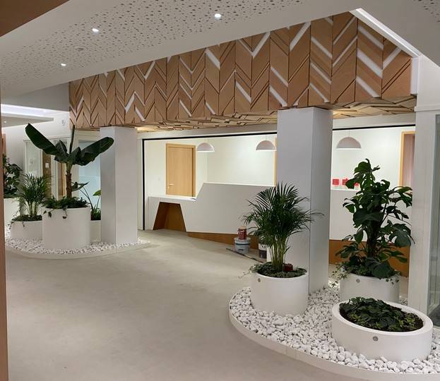 Capture d’écran 2026-01-29 083023